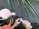 L'échantillonnage de la qualité de l'eau se déroule tout au long du projet